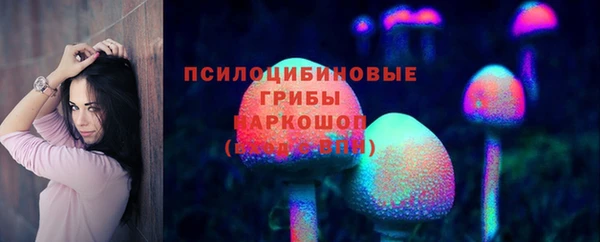 гашик Арсеньев