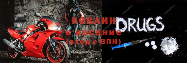 гашик Арсеньев