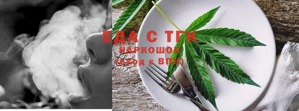 гашик Арсеньев