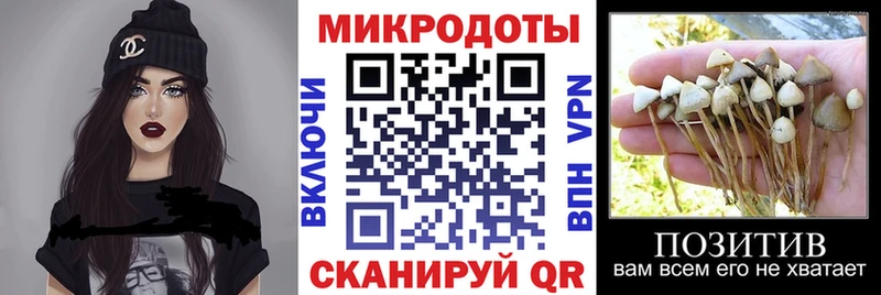 Псилоцибиновые грибы MAGIC MUSHROOMS  как найти   Чапаевск 